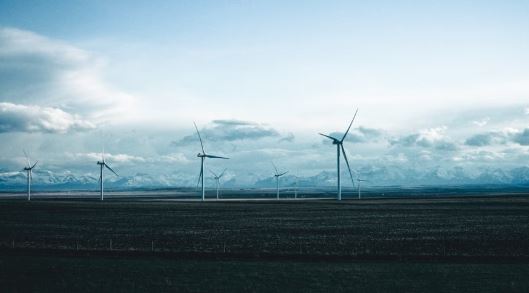 How Clean Technology Companies in Colorado Can Scale Their Businesses